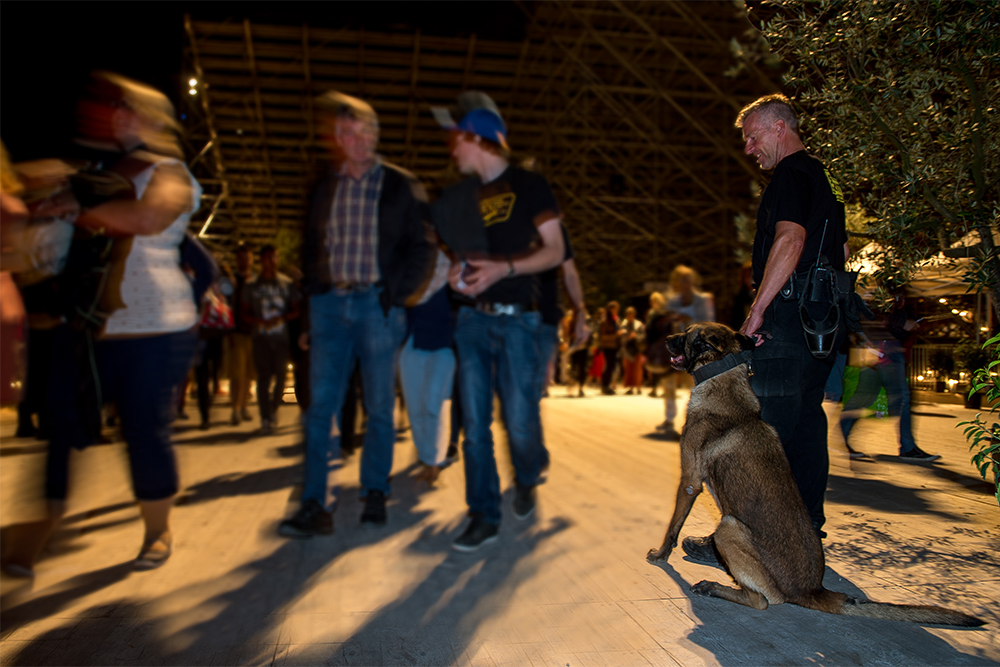 Berner Hunde Security