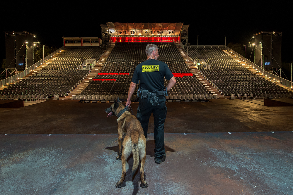 Berner Hunde Security